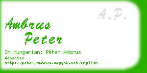 ambrus peter business card